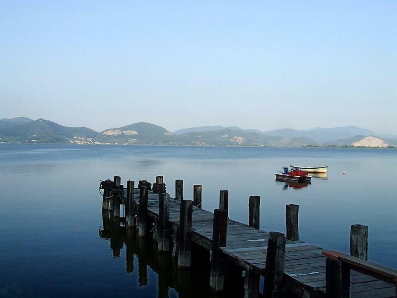 Melon'S House Villa Torre del Lago Puccini Luaran gambar
